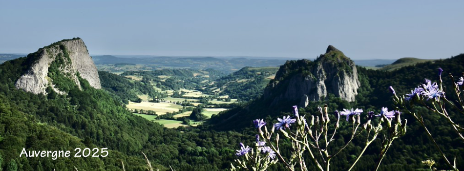 Auvergne 2025.png